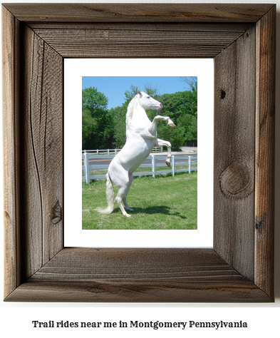 trail rides near me in Montgomery, Pennsylvania